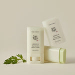 Beauty of Joseon Sonnenschutzstift Matte Sun Stick SPF50+/PA++++ - Perfekt für Unterwegs, Ölige Haut - DaniChou-Store