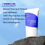 ISNTREE Hyaluronic Acid Natural Sun Cream SPF50 PA++++ - DaniChou-Store